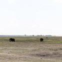 BWA NW Chobe 2016DEC04 NP 045 : 2016, 2016 - African Adventures, Africa, Botswana, Chobe National Park, Date, December, Month, Northwest, Places, Southern, Trips, Year